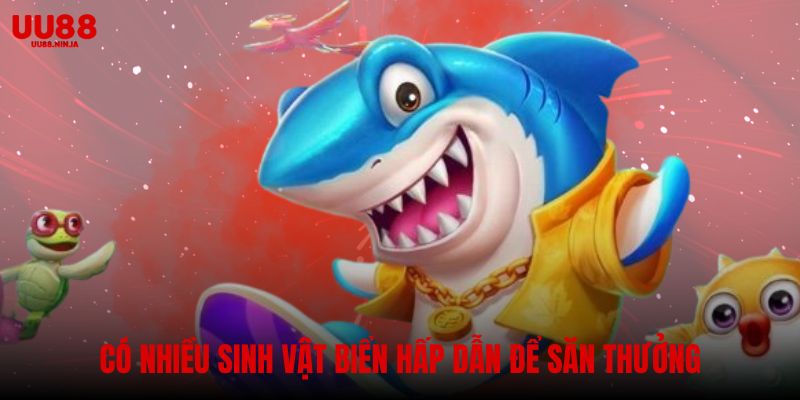 Có nhiều sinh vật biển hấp dẫn để săn thưởng