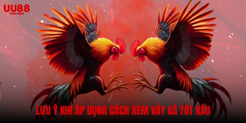 Lưu ý khi áp dụng cách xem vảy gà tốt xấu