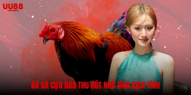 Đá gà cựa dao thu hút nhờ tính kịch tính và chiến thuật cao