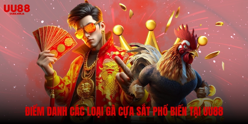 Điểm danh các loại gà cựa sắt phổ biến tại UU88