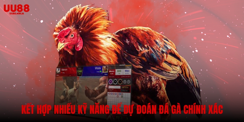 Kết hợp nhiều kỹ năng để dự đoán chính xác hơn và tăng khả năng thắng cược