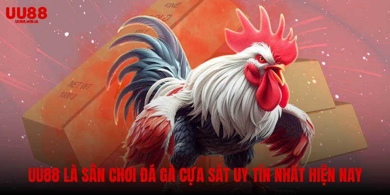 UU88 là sân chơi đá gà cựa sắt uy tín nhất hiện nay