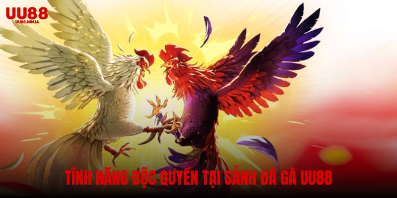 Tính năng độc quyền tại sảnh đá gà UU88