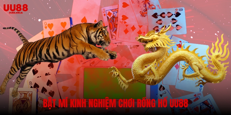 Bật mí kinh nghiệm chơi rồng hổ UU88