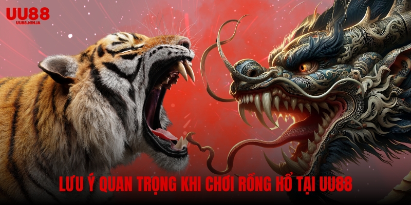 Lưu ý quan trọng khi chơi rồng hổ tại UU88