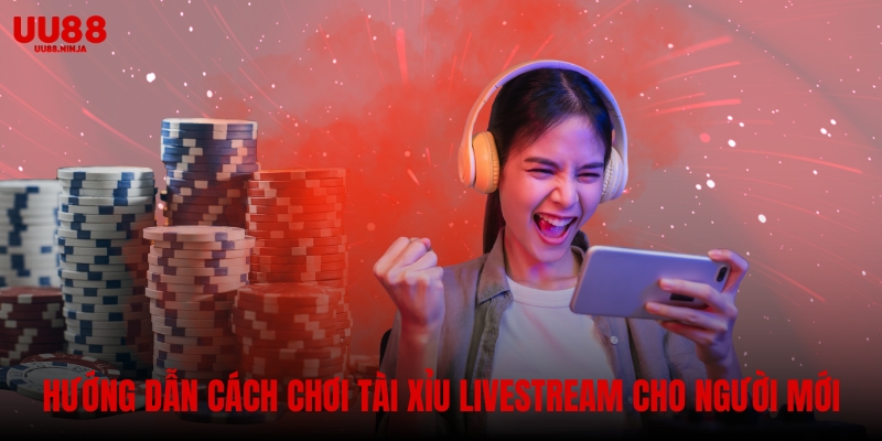 Hướng dẫn cách chơi tài xỉu livestream cho người mới