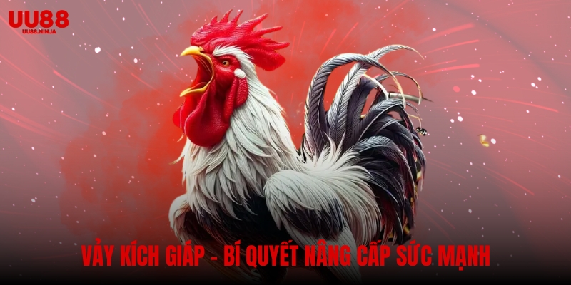 Vảy kích giáp – Bí quyết nâng cấp sức mạnh và phòng thủ tối ưu